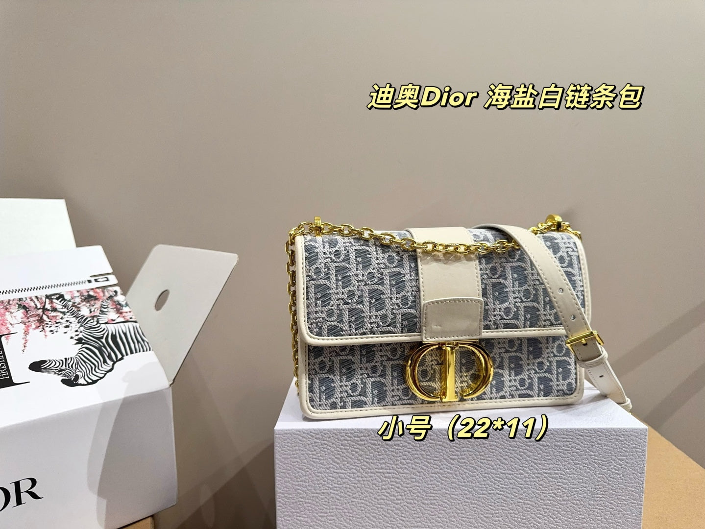 Dior Sea Salt White Chain Bag - Elegant Retro Style