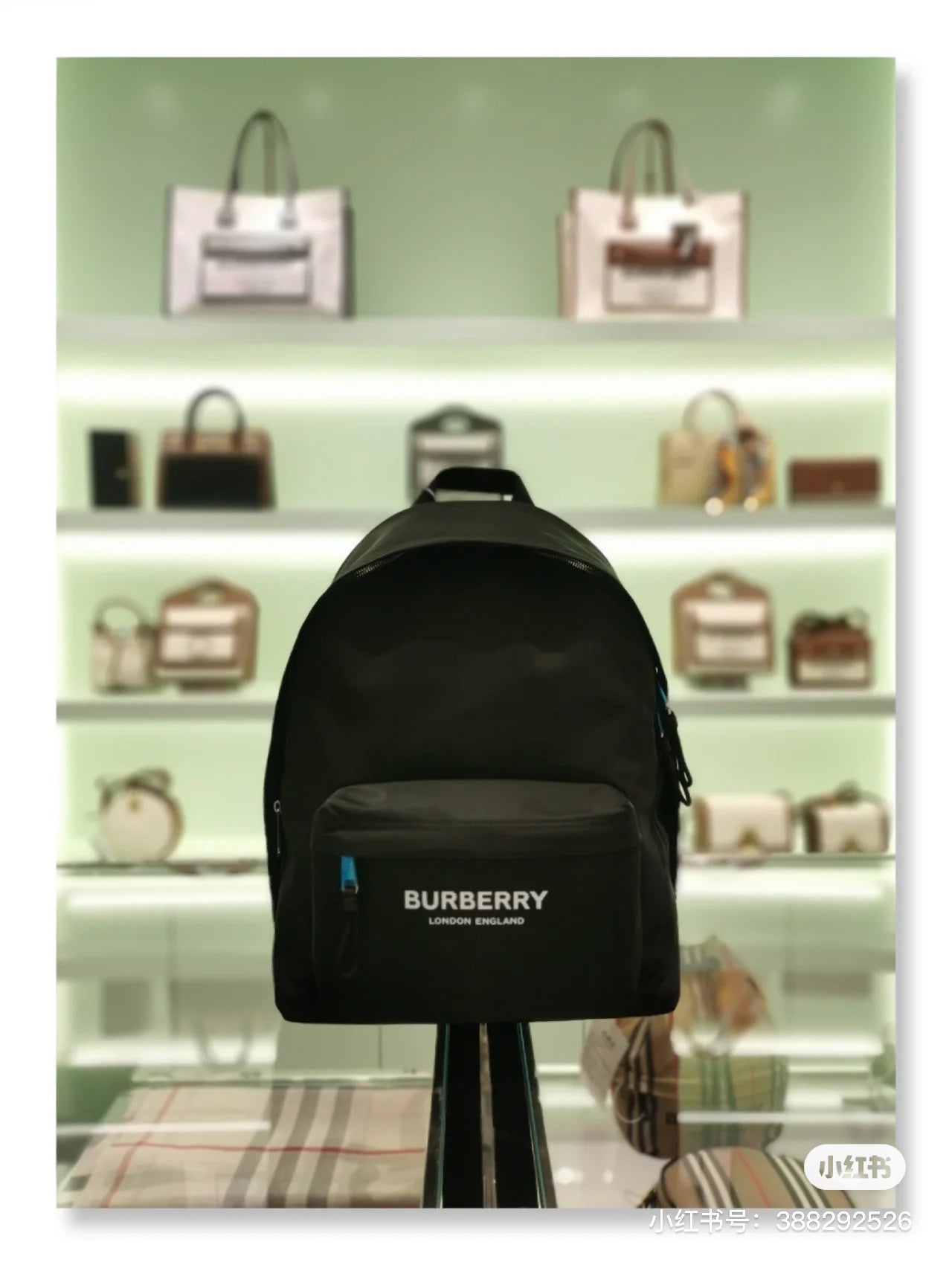 Luxury Burberry Canvas Backpack for Everyday Use