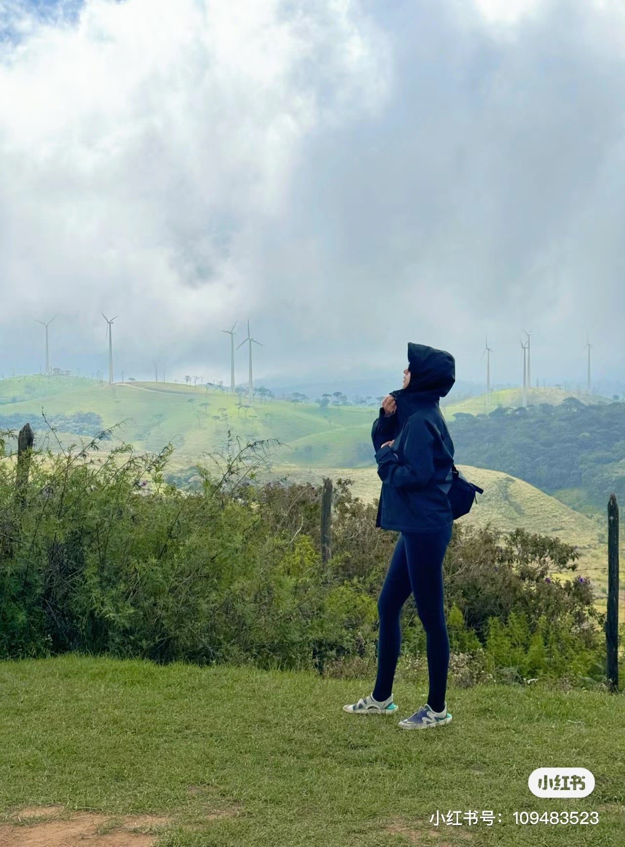 Women's North Face Outdoor Hiking Jacket - Windproof & Waterproof