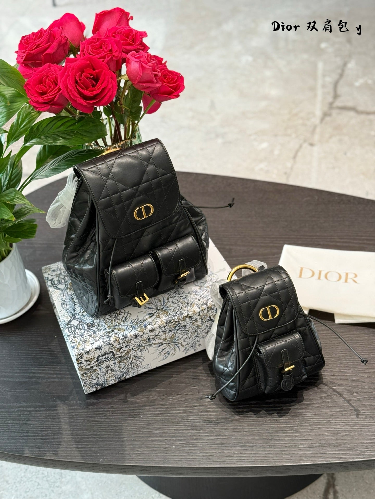 DIOR Caro Small Backpack - Modern Elegance in Compact Design