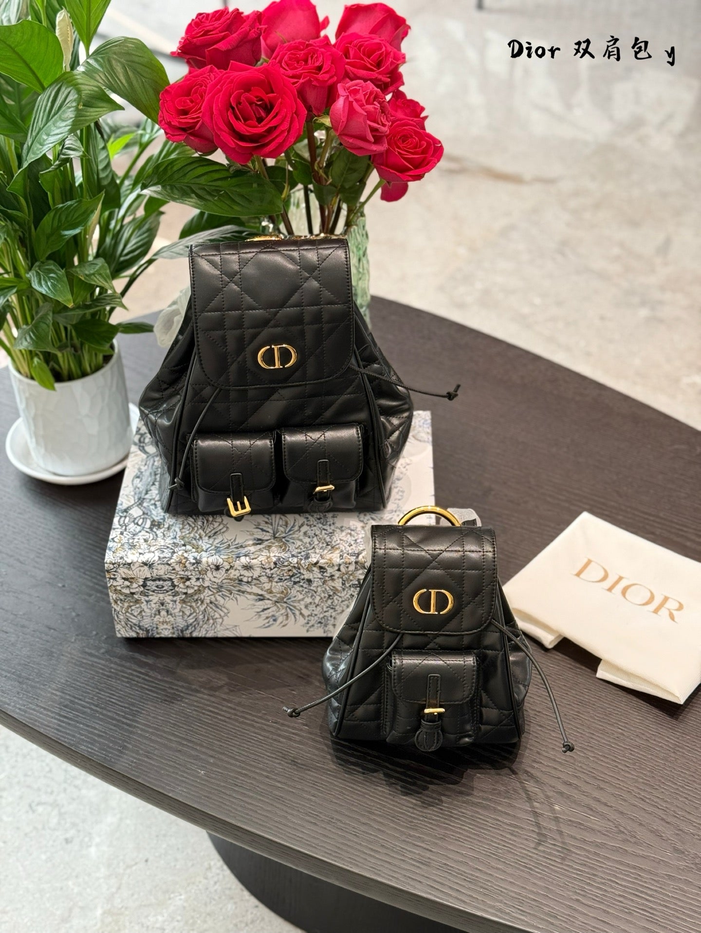 DIOR Caro Small Backpack - Modern Elegance in Compact Design