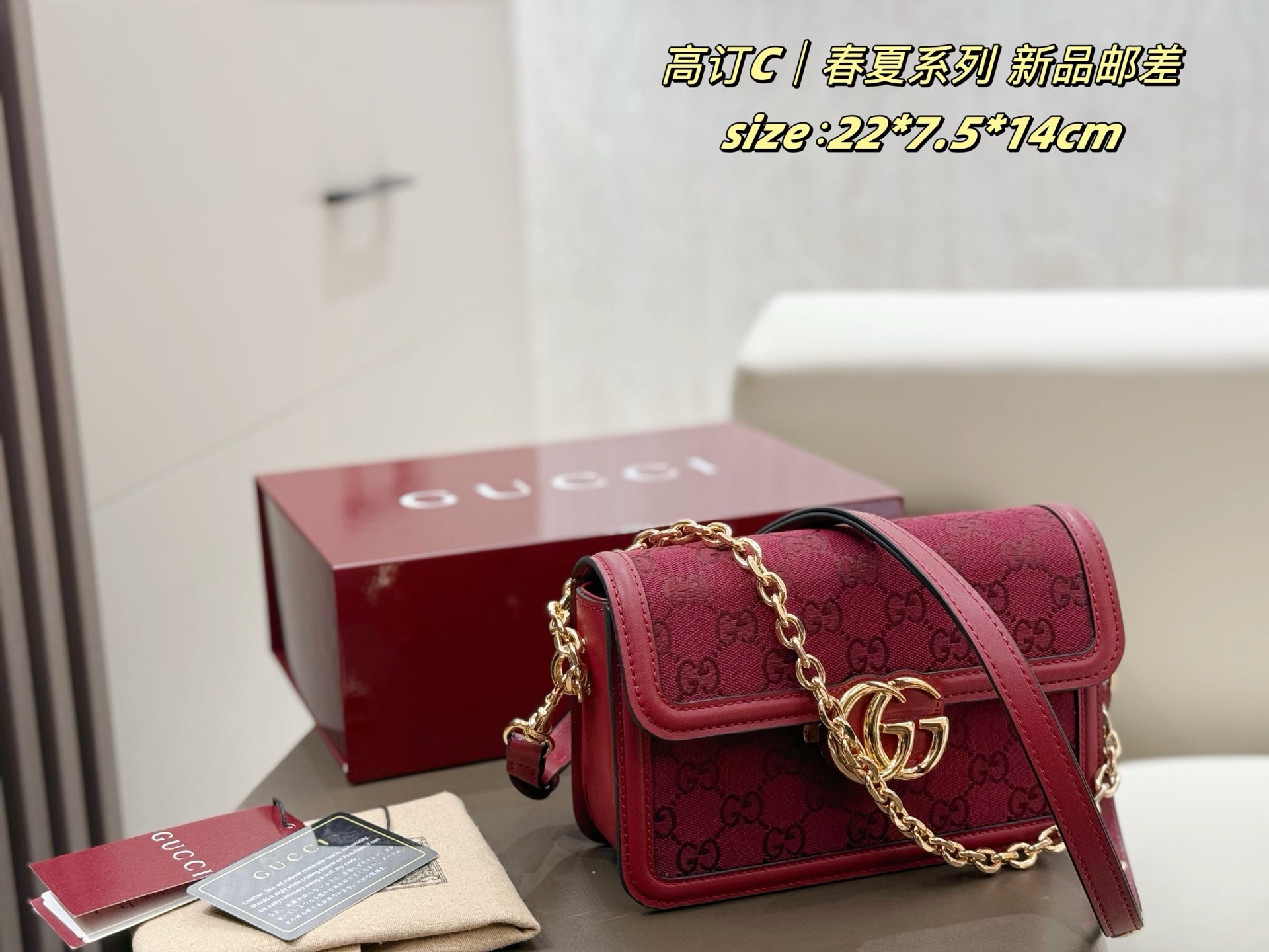 Gucci 2025 Spring/Summer Collection - Exclusive Double G Buckle Bag