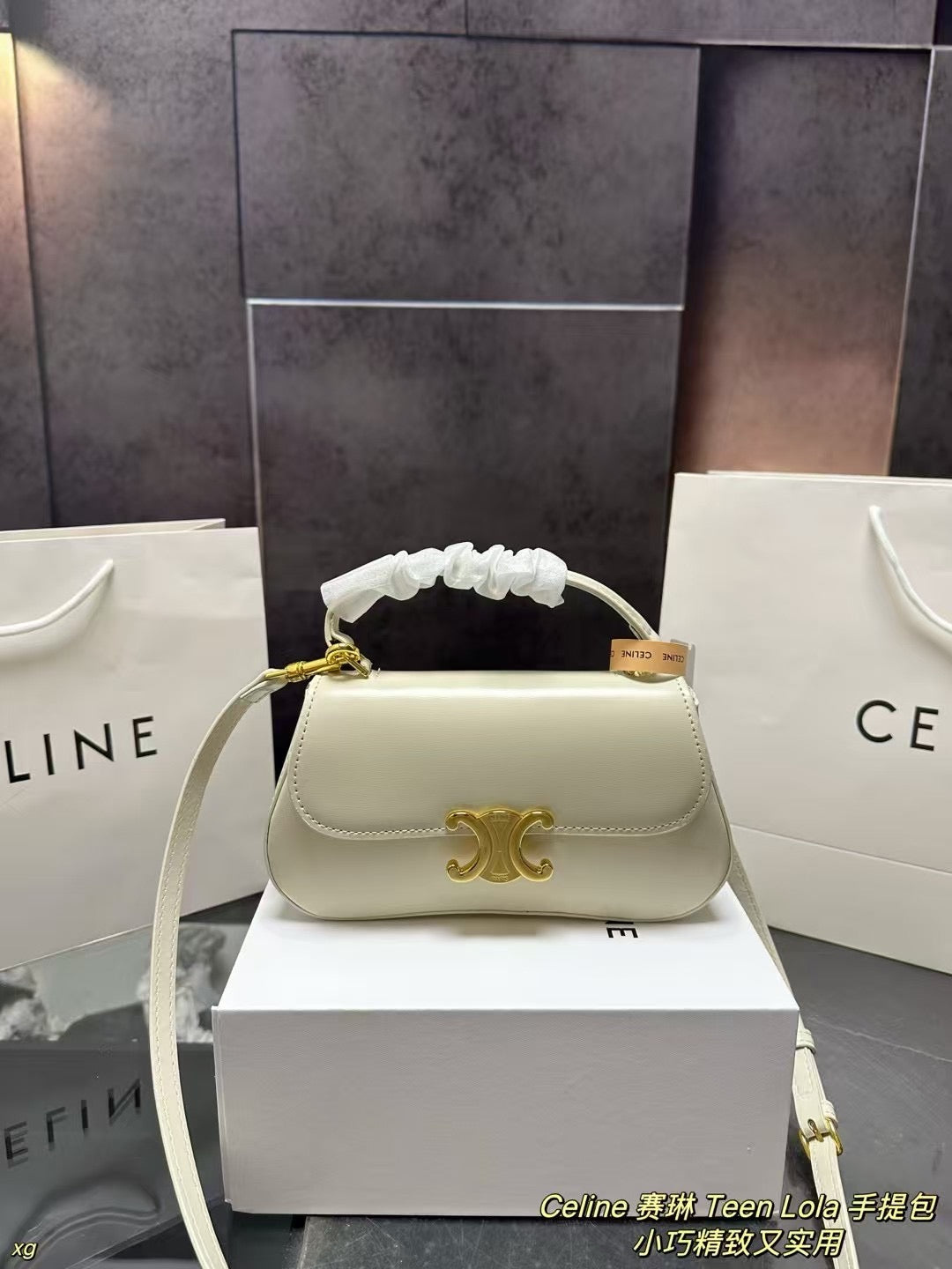 Celine TEEN Lola Handbag - Versatile Small Shoulder Bag