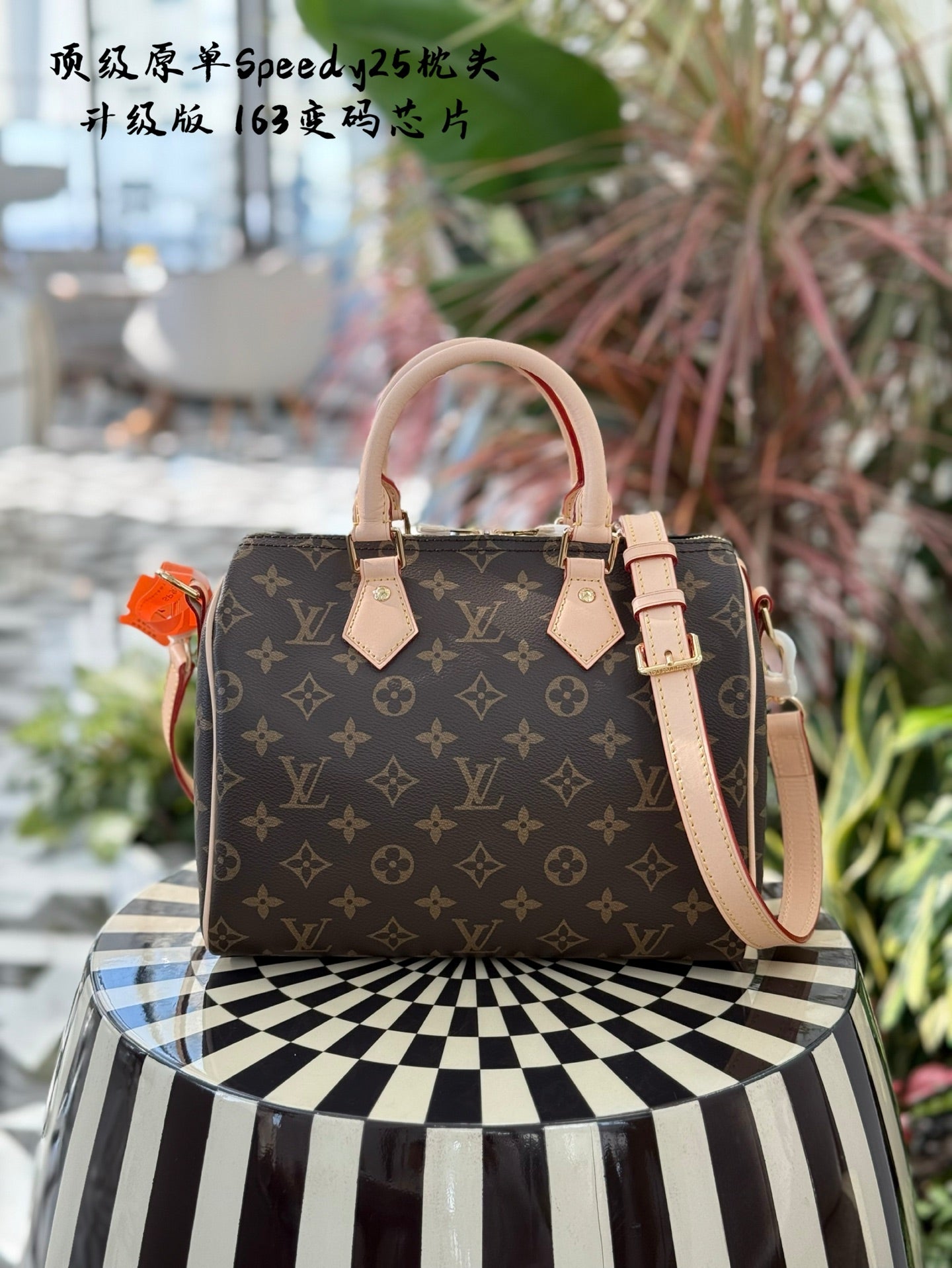 Louis Vuitton Speedy 25 - Classic Women's Handbag