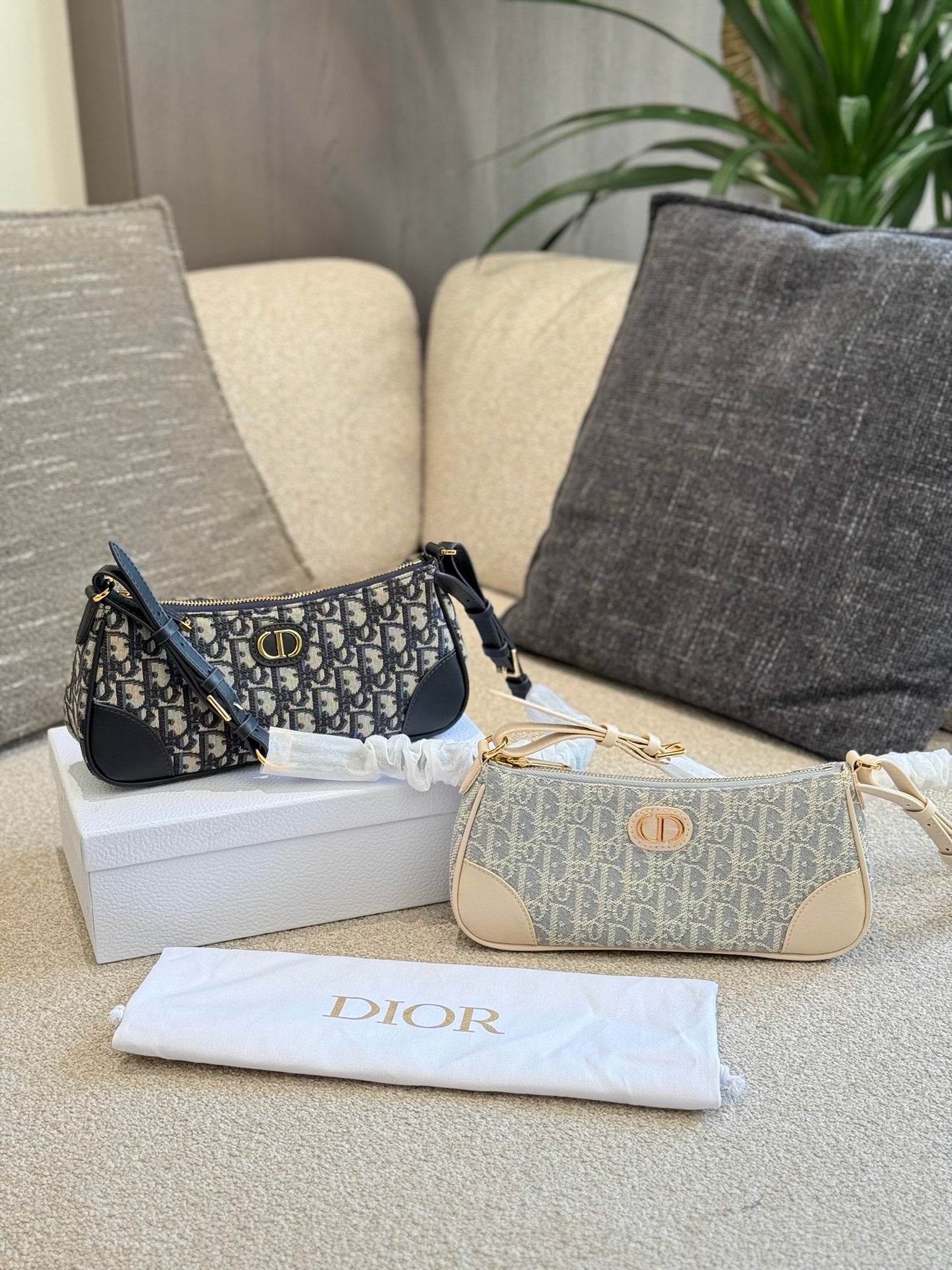 Dior Embroidered Presbyopia Cowhide Baguette Hobo Bag