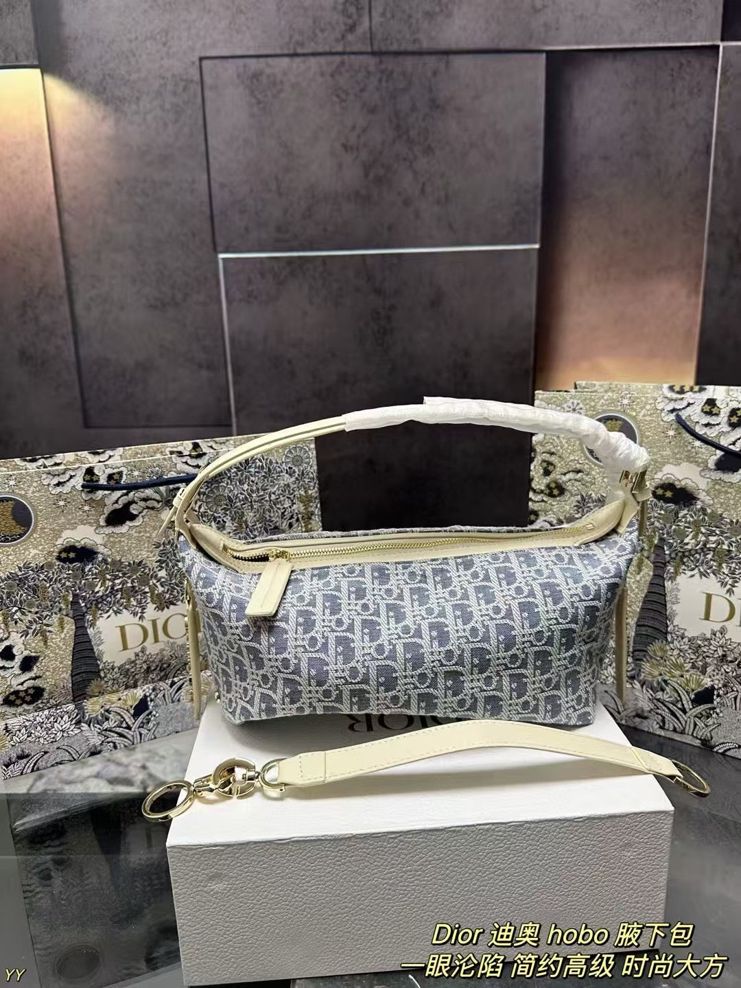 Dior Multi-Color Hobo Underarm Bag