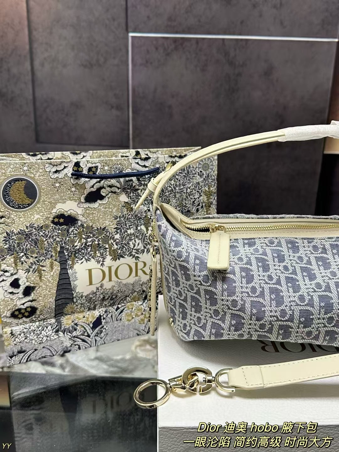 Dior Multi-Color Hobo Underarm Bag