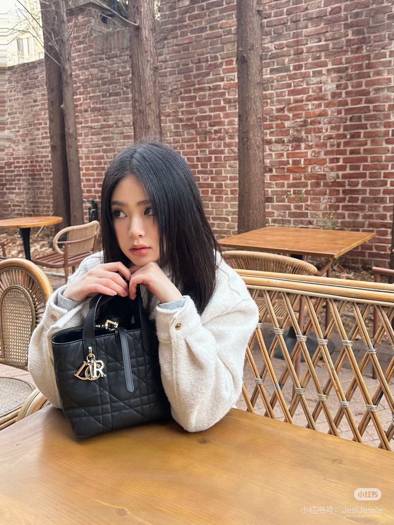 Dior Toujours Vertical Handbag - Elegant & Stylish