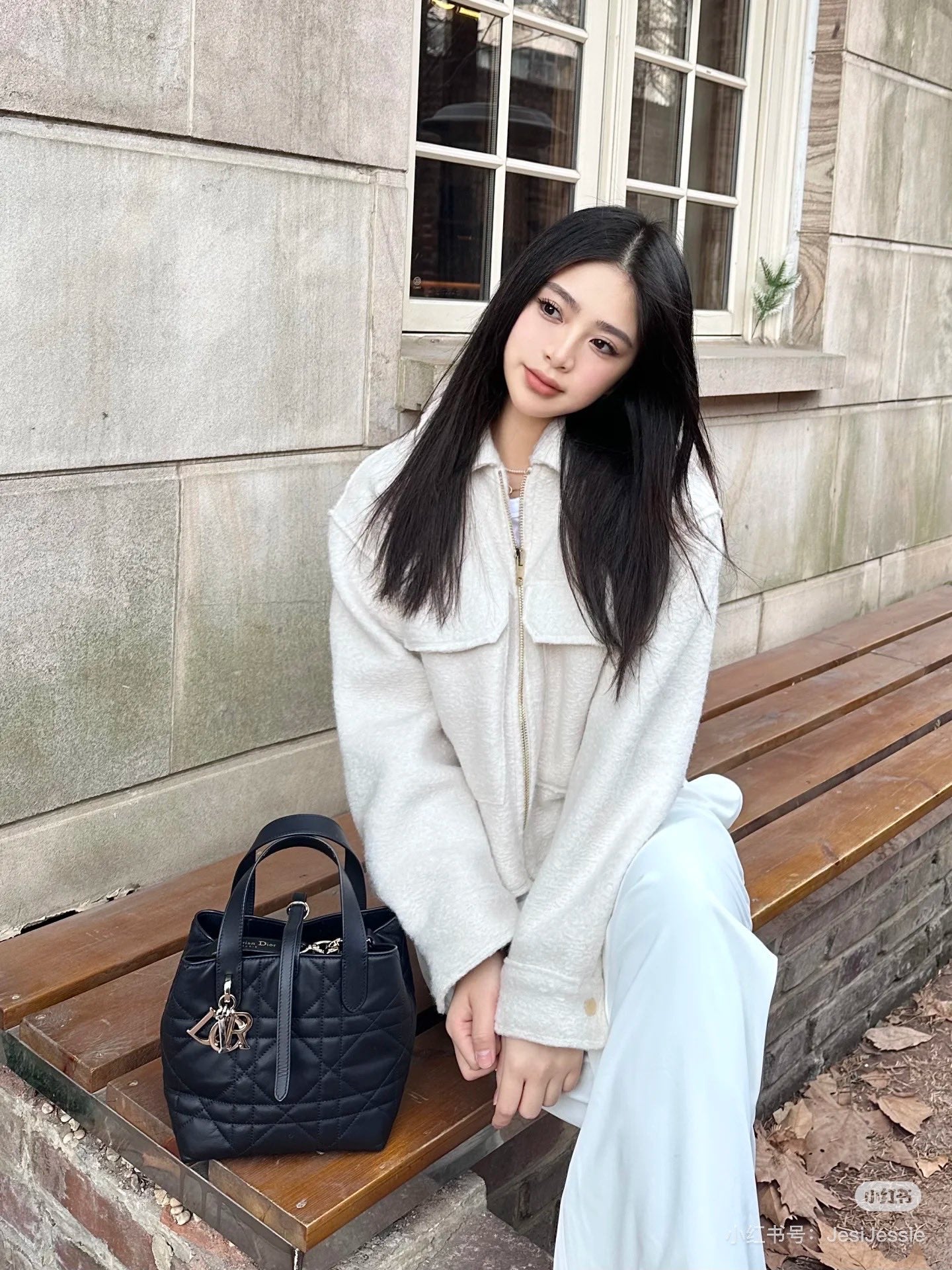 Dior Toujours Vertical Handbag - Elegant & Stylish