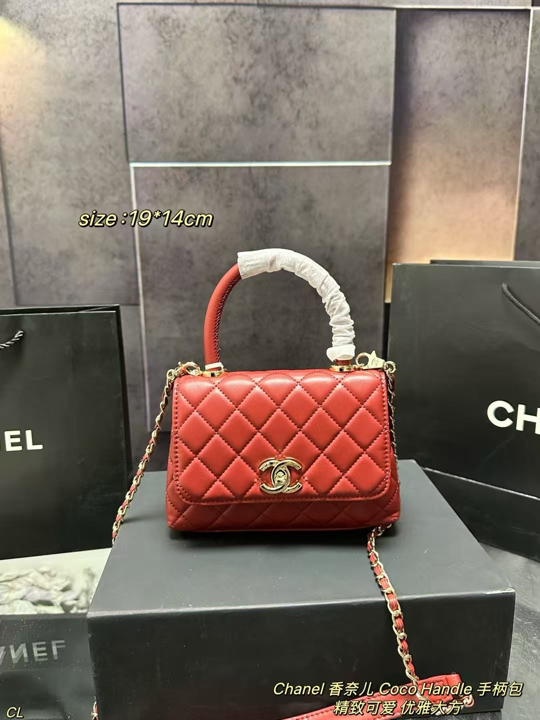 Chanel Coco Handle Bag - Timeless Elegance in a Chic Design