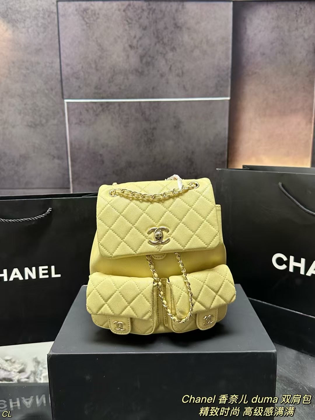 CHANEL Duma Backpack - Elegant and Versatile