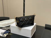 DIOR Classic Lunch Bag with Folding Box