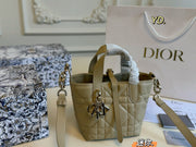 Dior Toujours Vertical Shopping Bag Handbag - Mini Size