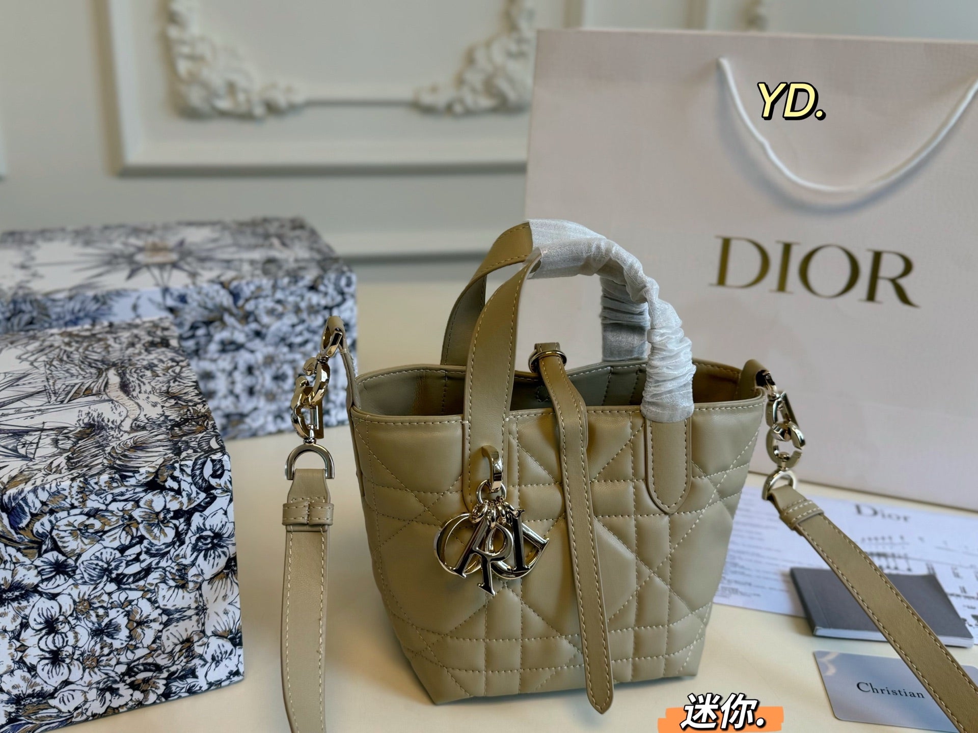 Dior Toujours Vertical Shopping Bag Handbag - Mini Size