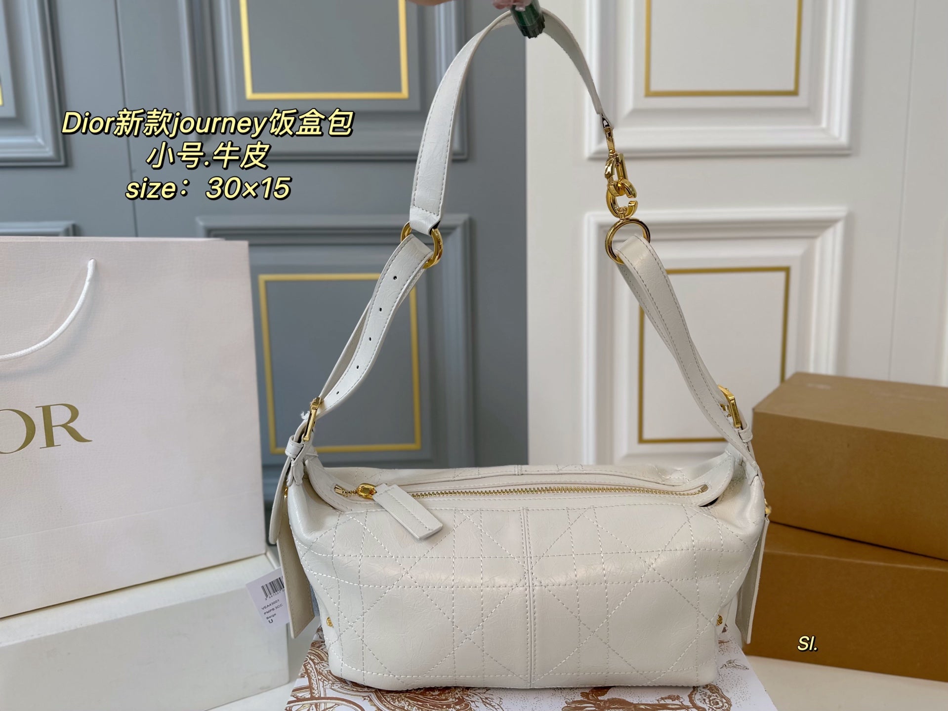 DIOR Small Cowhide Lunch Box Bag - Versatile Hobo Bag