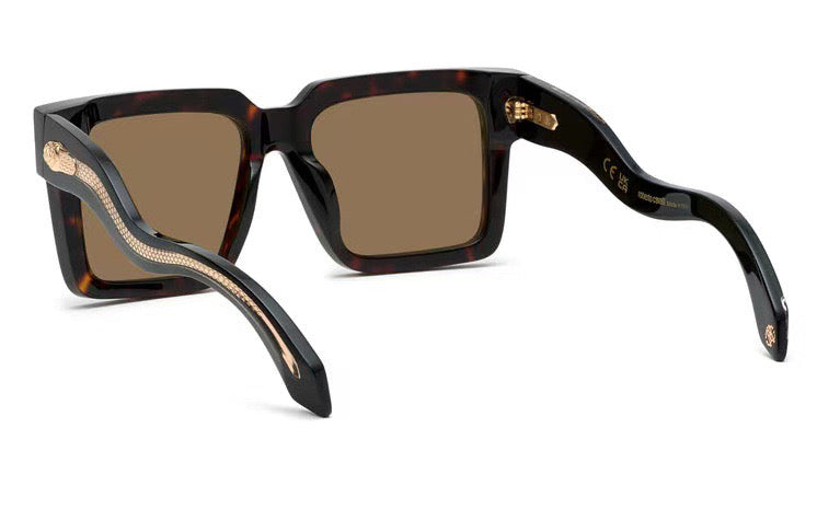 Roberto Cavalie SRC055 Eyeglasses â€“ Model 54-19-145