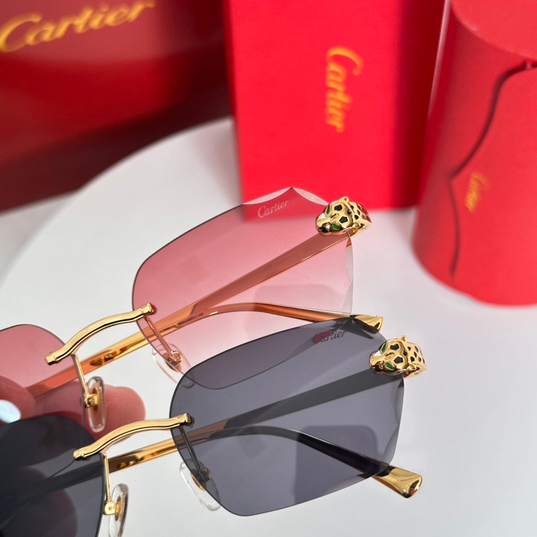 Cartie CT0478S Stylish Eyewear - 57 Ports, Size 18-140