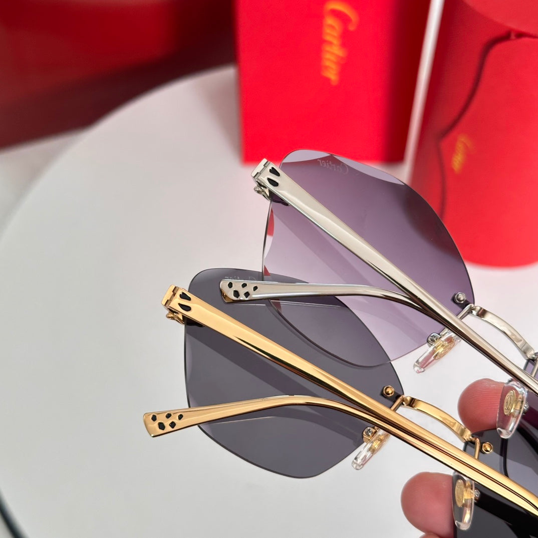 Cartier CT0476S Sunglasses - Elegant Style for Every Occasion