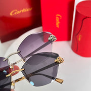 Cartier CT0476S Sunglasses - Elegant Style for Every Occasion
