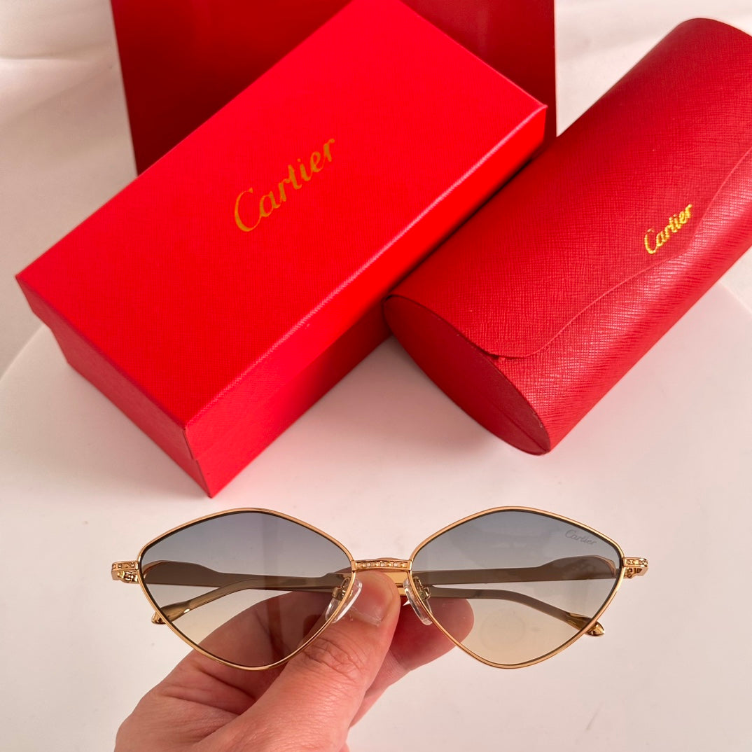 Cartier CT0489S Sunglasses - Stylish Oversized Frame