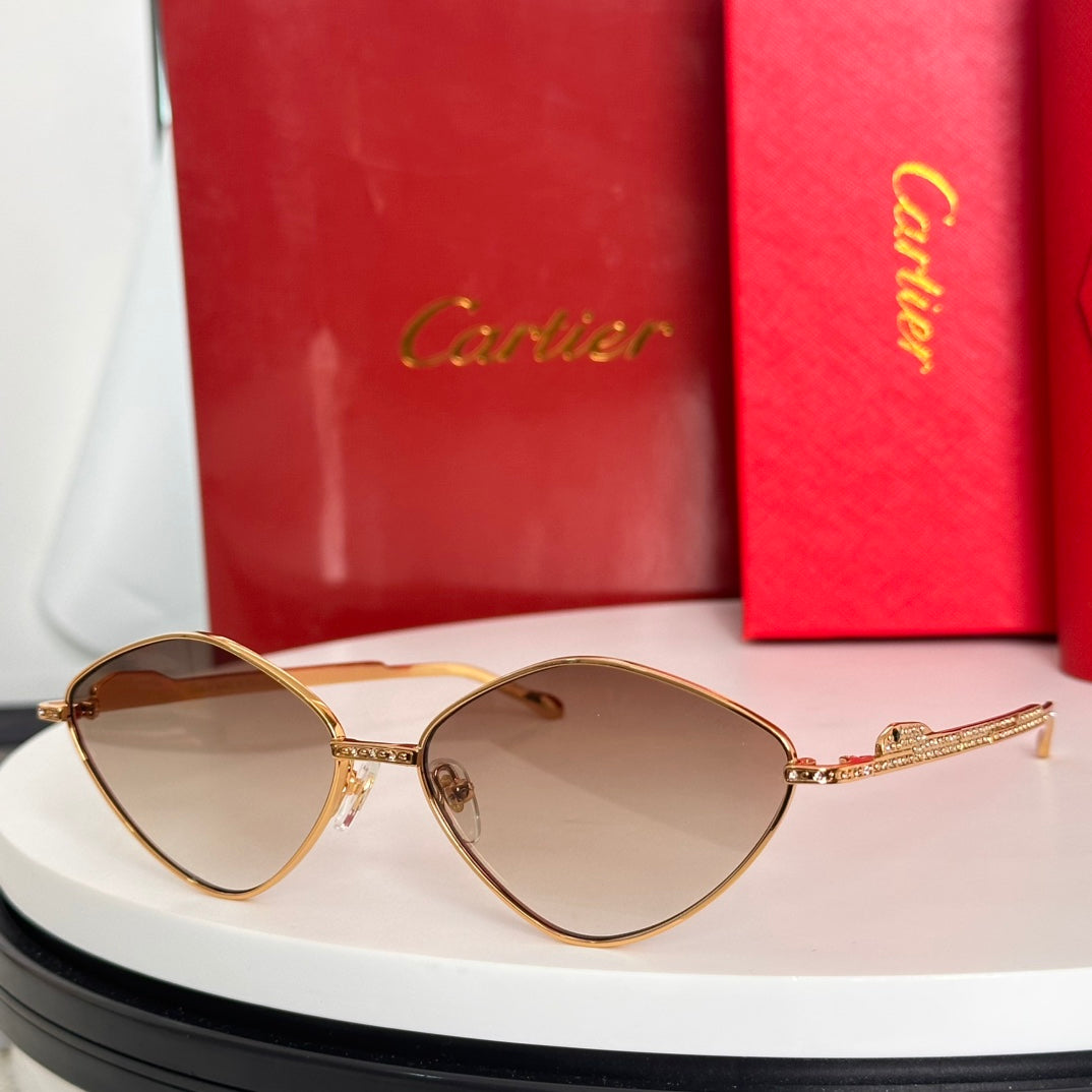 Cartier CT0489S Designer Sunglasses - 60mm Frame Size