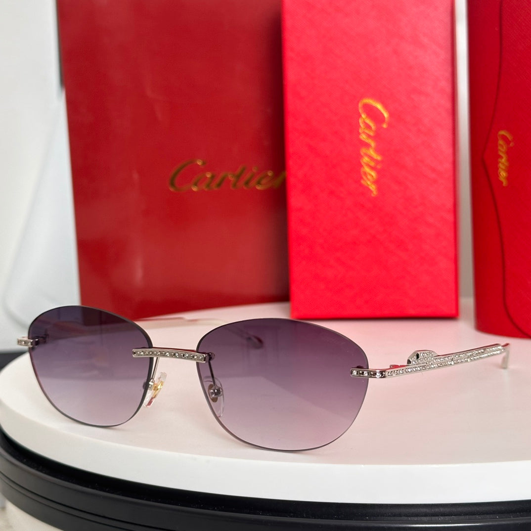 Cartie Kajia CT0486S Myopia Eyeglasses - Stylish & Versatile Frames