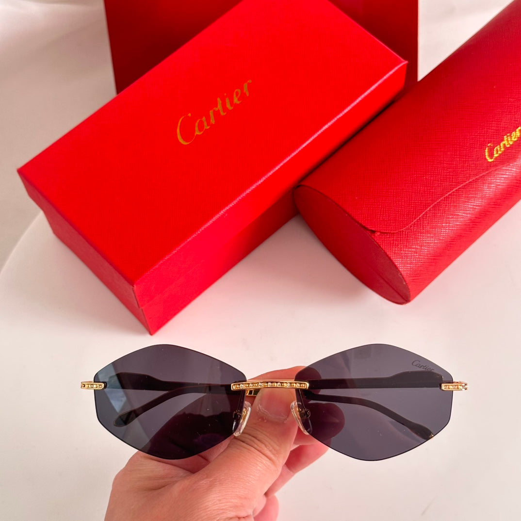 Cartier CT0487S Sunglasses - Stylish Elegance for Every Occasion