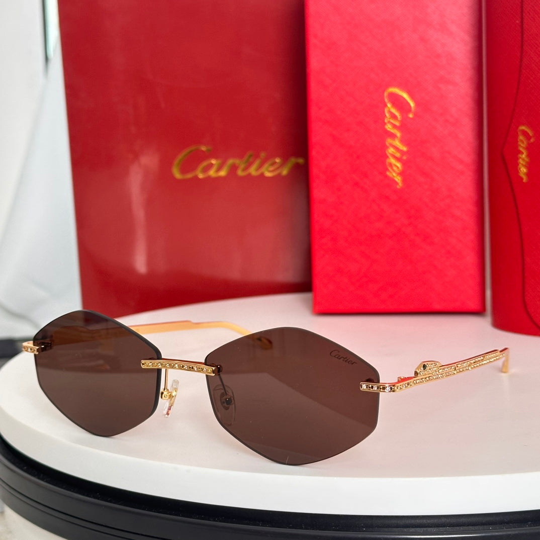 Cartier CT0487S Sunglasses - Stylish & Sophisticated