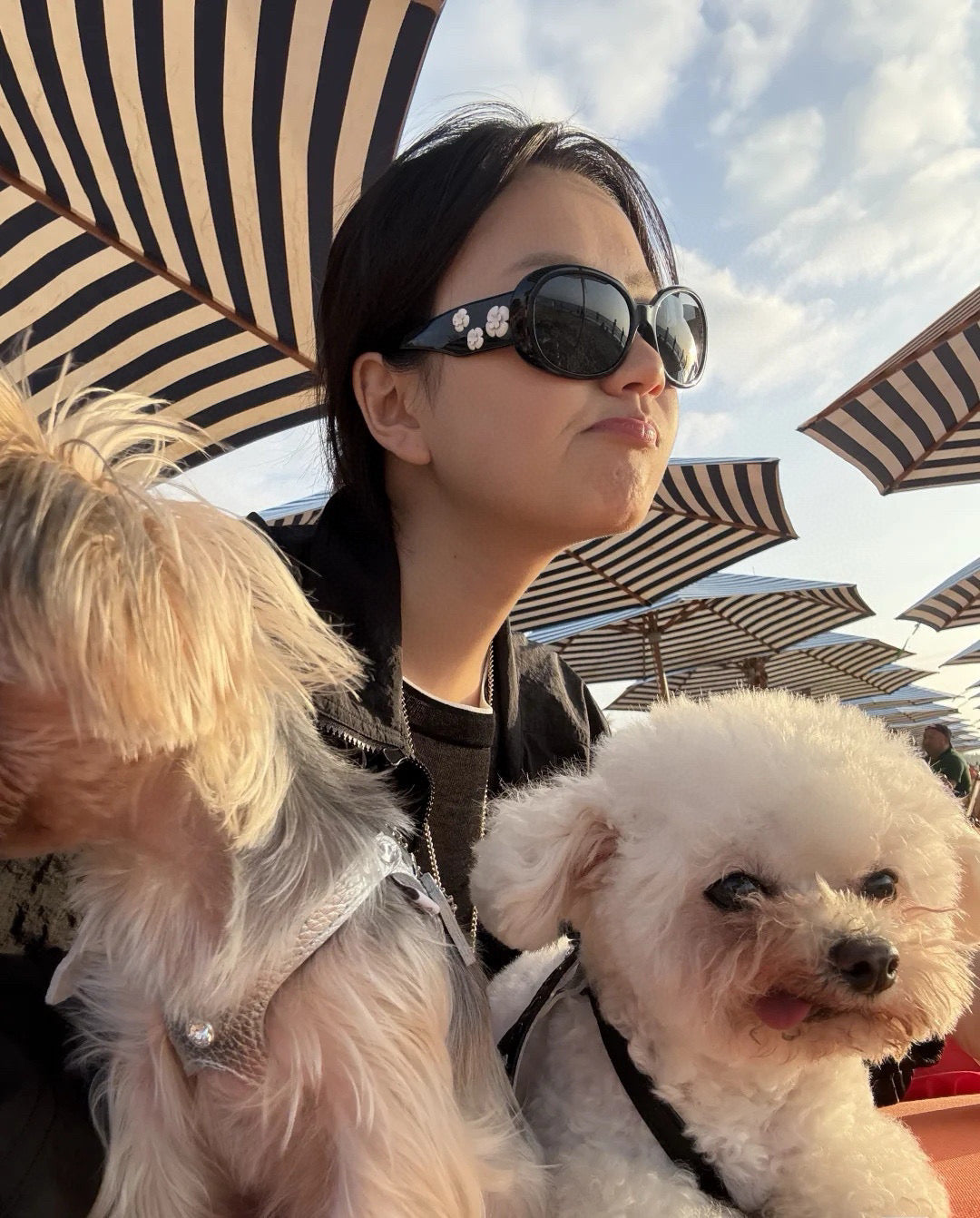 Stylish CHANE CH5113-A Eyeglasses â€“ 56-16-130