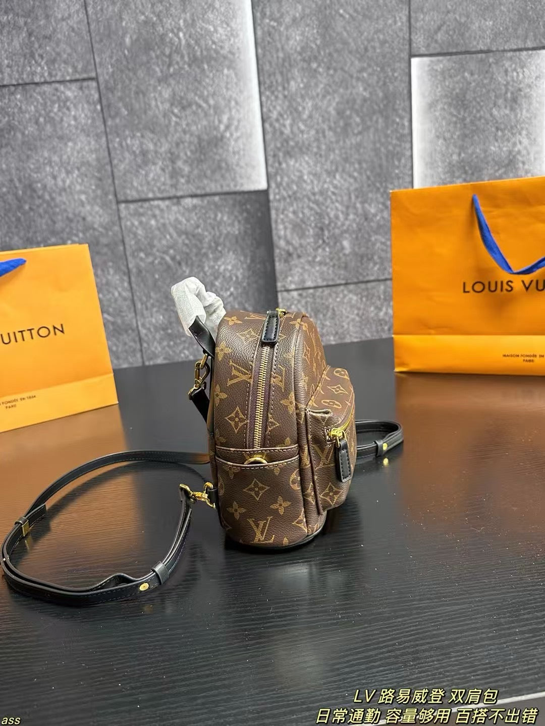 Louis Vuitton Palm Springs Mini Backpack