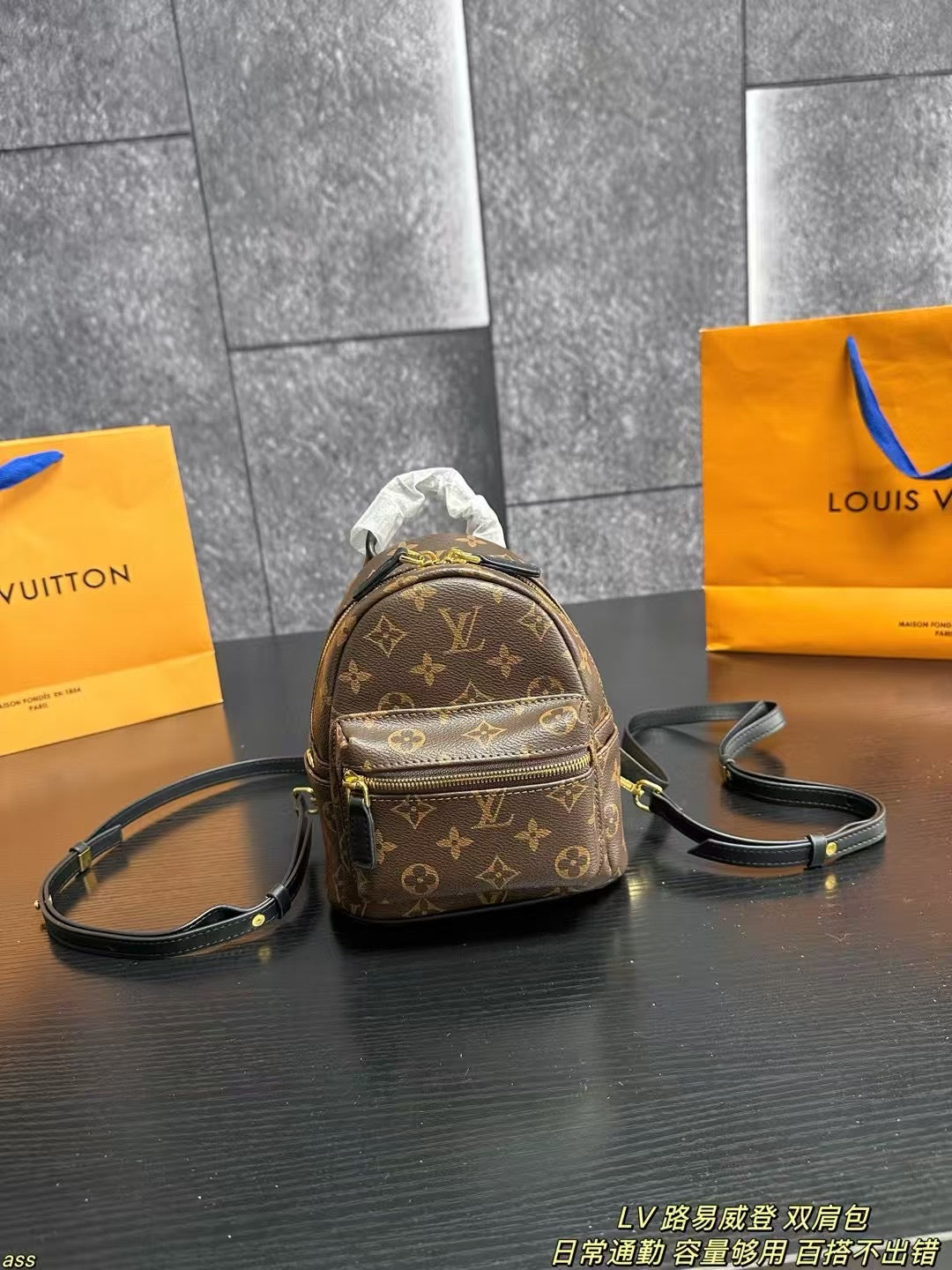 Louis Vuitton Palm Springs Mini Backpack