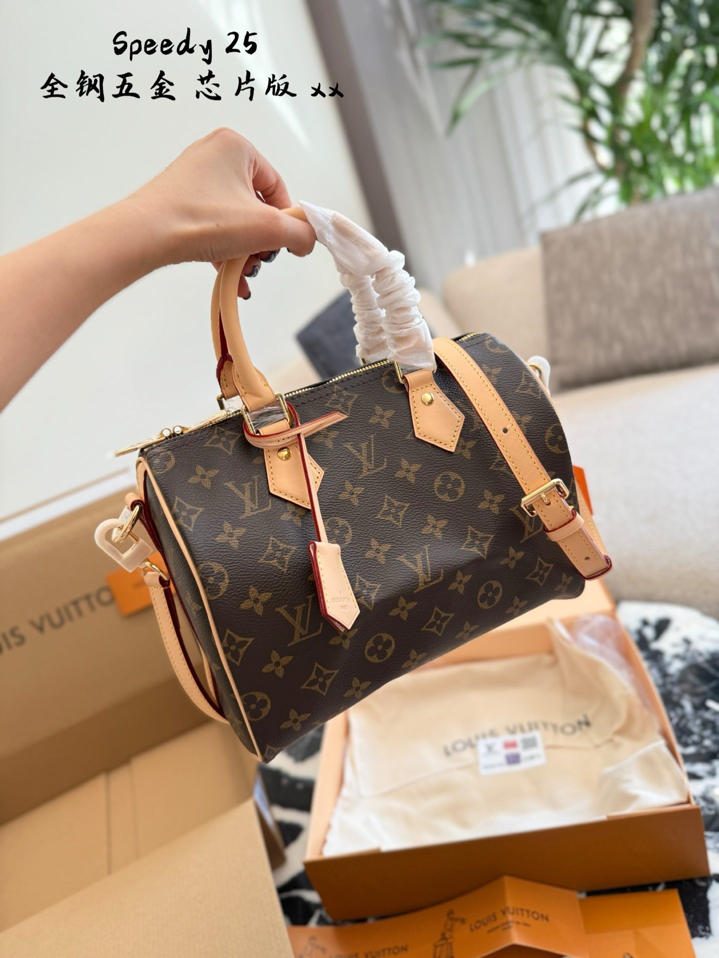 LV Speedy 25 Classic Canvas Handbag