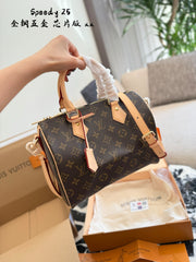 LV Speedy 25 Classic Canvas Handbag