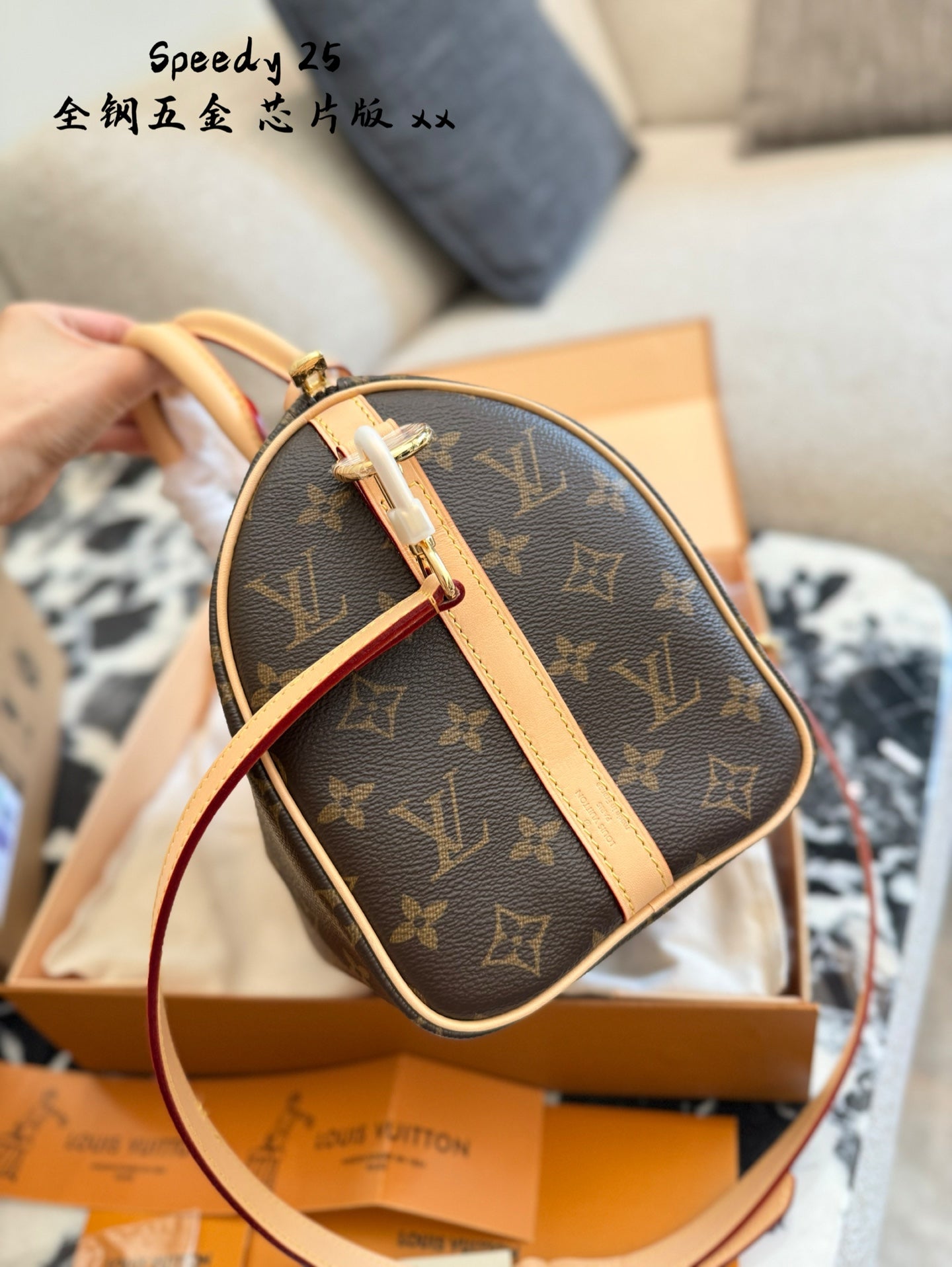 LV Speedy 25 Classic Canvas Handbag