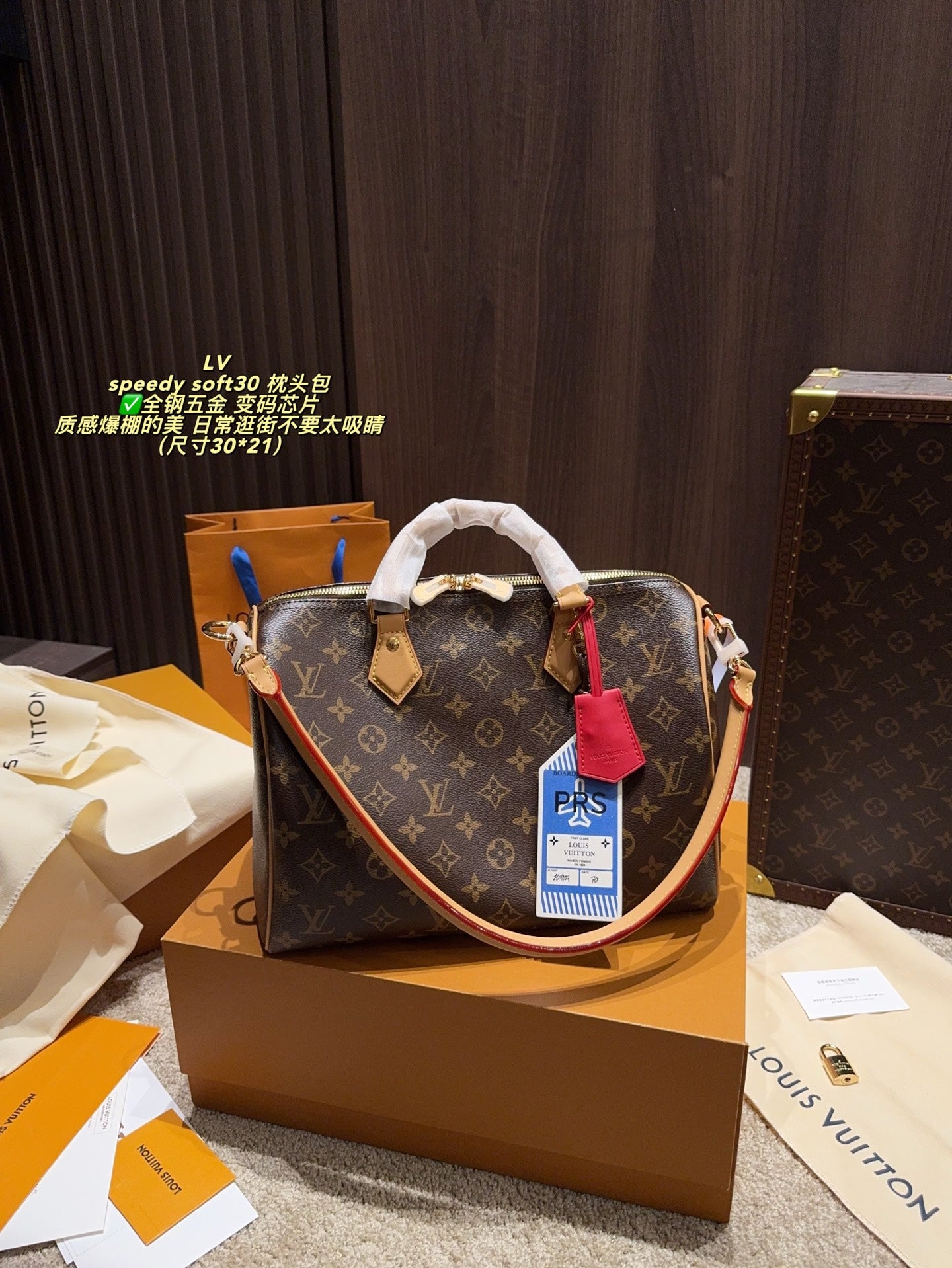 LV Speedy Soft30 Pillow Bag - Elegant All-Steel Design